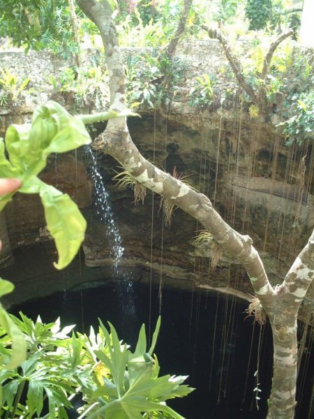 Click to view full size image