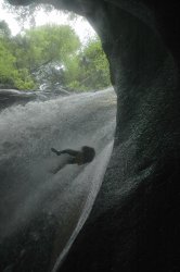 Filename=dsc_4582.jpg
Filesize=521KiB
Dimensions=510x768
Date added=Jun 13, 2005 dsc_4582.jpg