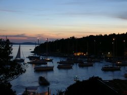 Filename=DSC00048.JPG
Filesize=258KiB
Dimensions=1600x1200
Date added=Aug 16, 2005 DSC00048.JPG