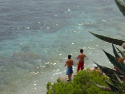 Filename=DSC00132.JPG
Filesize=272KiB
Dimensions=1600x1200
Date added=Aug 18, 2005 DSC00132.JPG