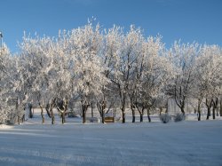 IMG_0029.jpg