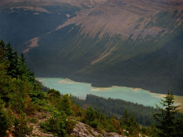 Click to view full size image