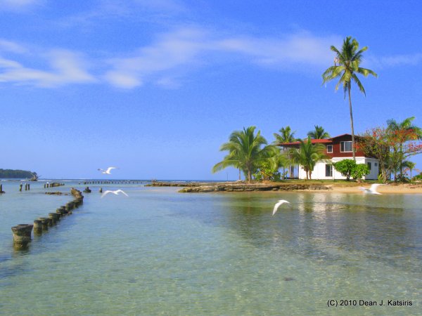 Click to view full size image