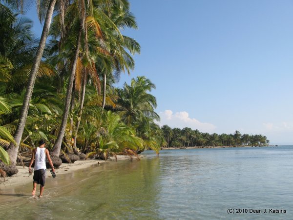 Click to view full size image