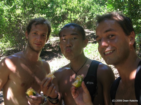 Click to view full size image