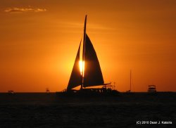 IMG_1280.JPG