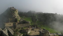 IMG_7818.JPG