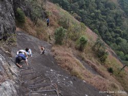 IMG_2899.JPG