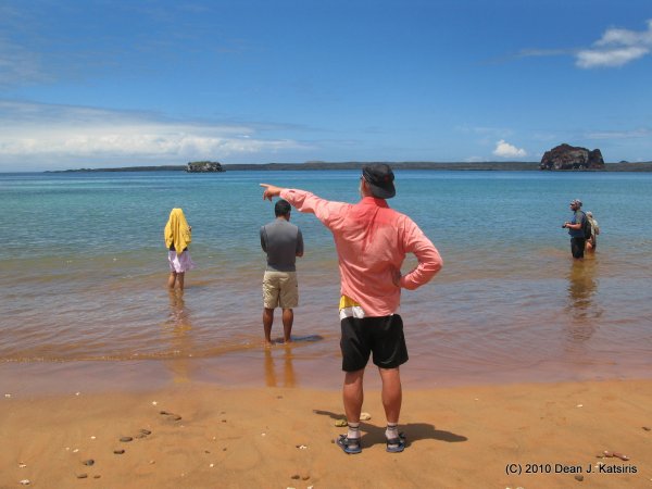 Click to view full size image