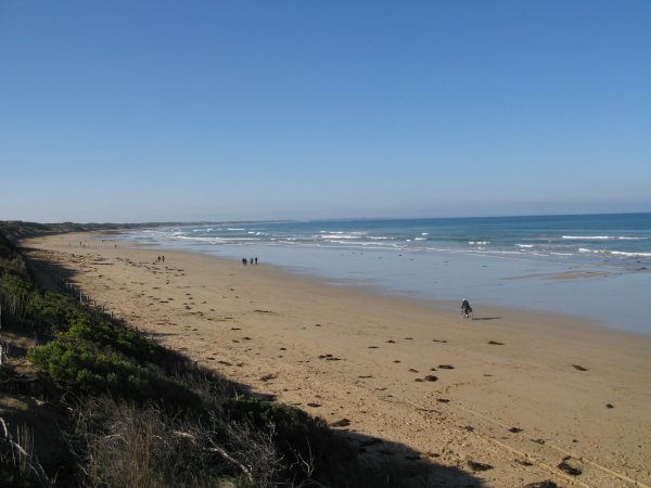 Click to view full size image