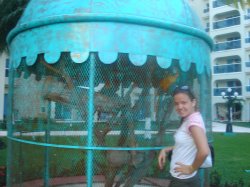 CROPFeb__18-25,_2007_074.jpg