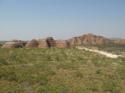 IMG_0492~0.jpg