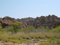 IMG_0539.jpg