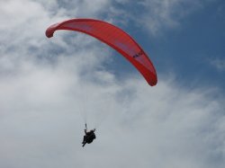 IMG_1097.jpg