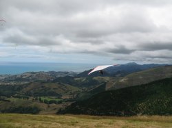 IMG_1110.jpg
