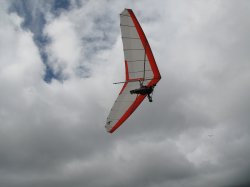 IMG_1115.jpg