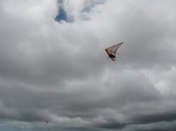IMG_1117.jpg