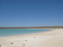 IMG_1328~0.jpg