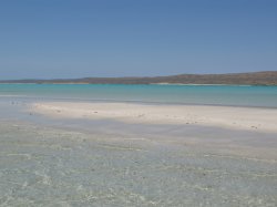 IMG_1340.jpg