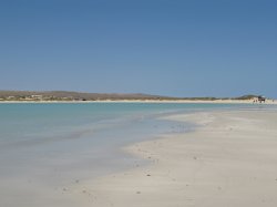 IMG_1341.jpg