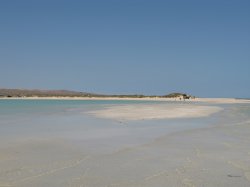 IMG_1342~0.jpg