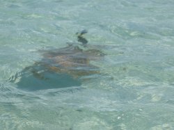 IMG_1356.jpg