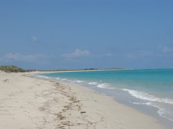 IMG_1395.jpg