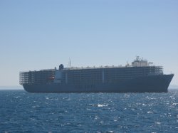 IMG_2400.jpg
