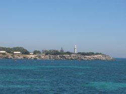 IMG_2401.jpg