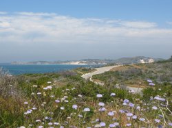 IMG_2405.jpg