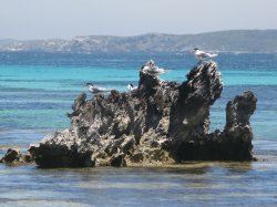 IMG_2437.jpg