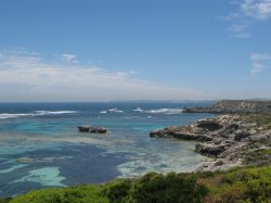 IMG_2446.jpg