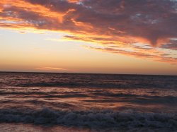 IMG_2502~0.jpg