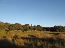 IMG_3108.jpg