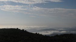 IMG_3113~0.jpg