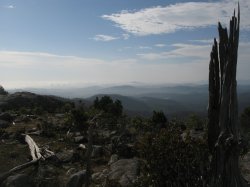IMG_3131~0.jpg