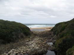 IMG_3446.jpg
