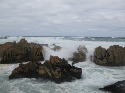 IMG_3454~0.jpg
