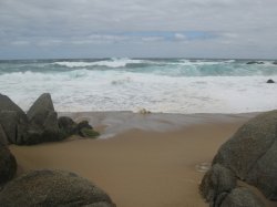 IMG_3471.jpg