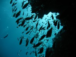 IMG_3563.jpg