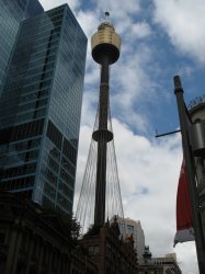 IMG_3769.jpg
