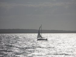 IMG_4222.jpg