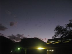 IMG_4225.jpg