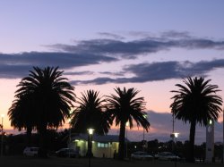 Filename=IMG_6133.jpg
Filesize=339KiB
Dimensions=1600x1200
Date added=Apr 30, 2007 IMG_6133.jpg