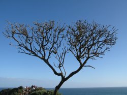 IMG_6964.jpg