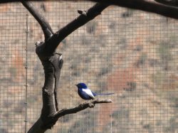 IMG_7820.jpg