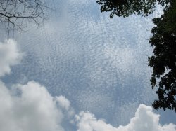 IMG_7401.jpg
