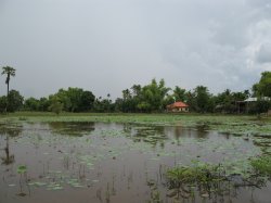 IMG_7741.jpg