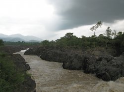 IMG_7784.jpg