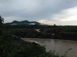 IMG_7798.jpg